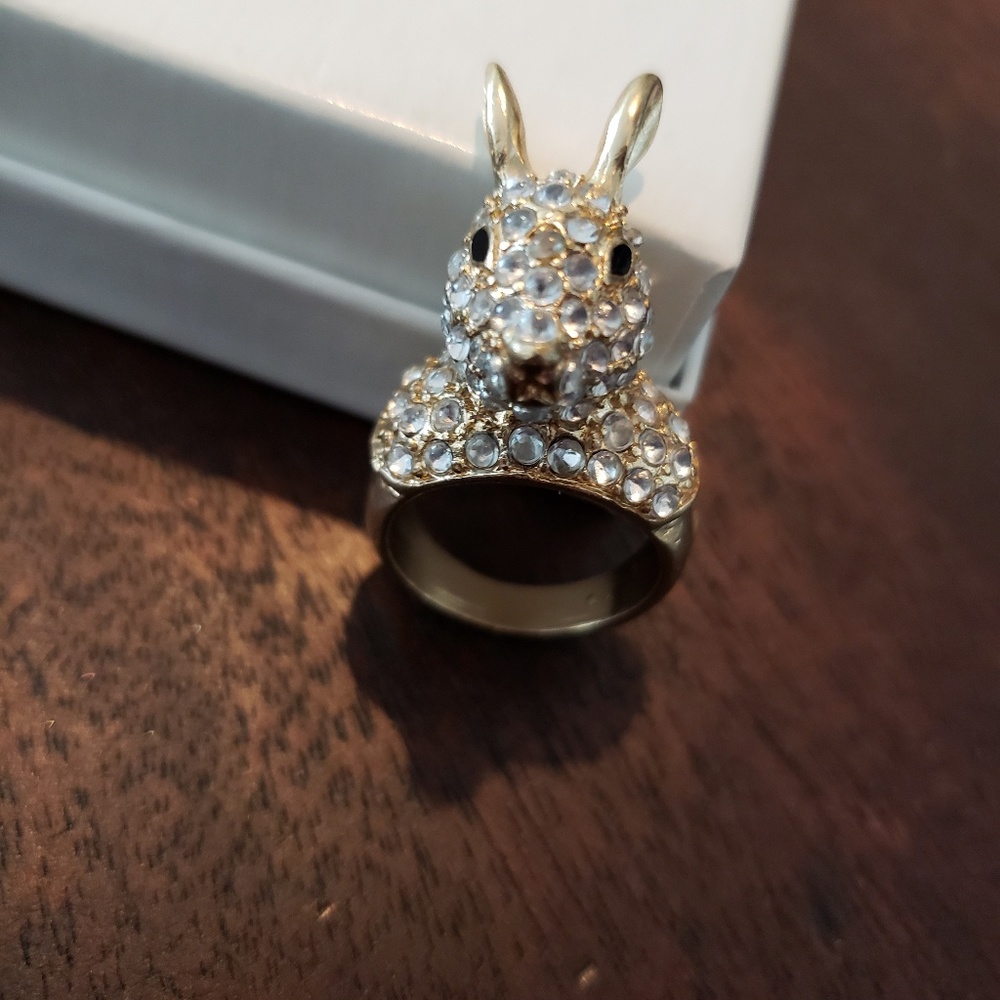 Charming Charlie ring